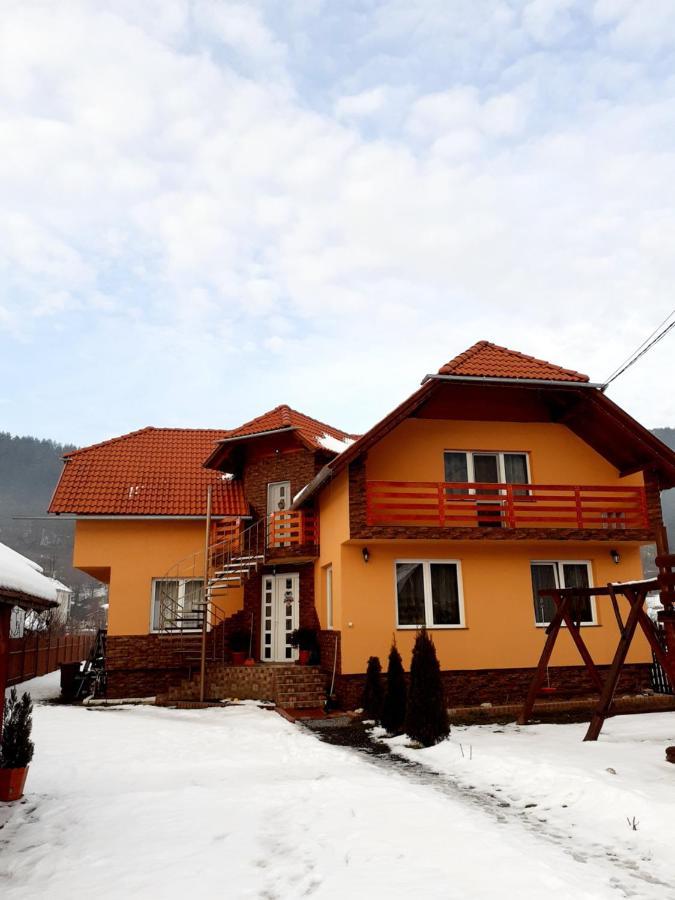 Casa De Oaspeti Cristian 프라이드 외부 사진