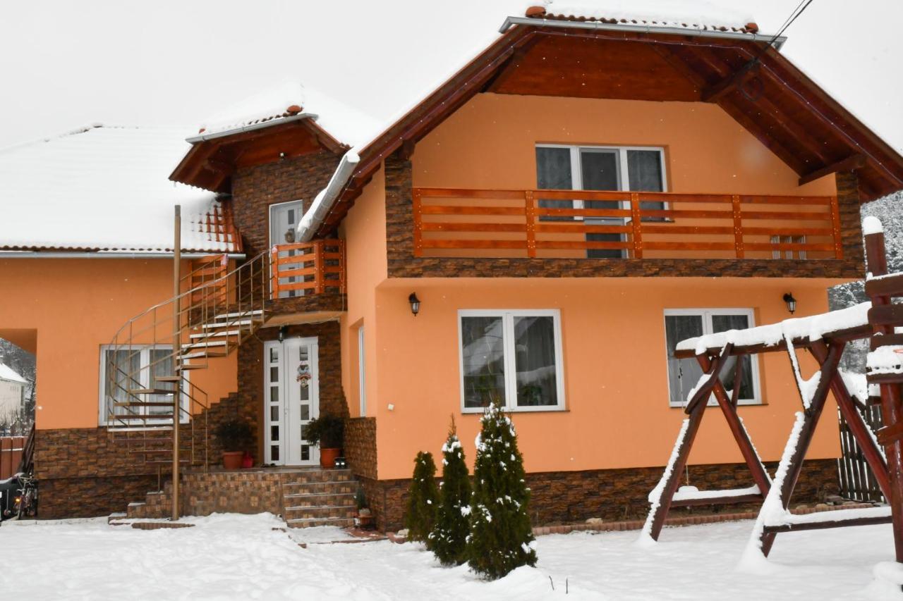 Casa De Oaspeti Cristian 프라이드 외부 사진