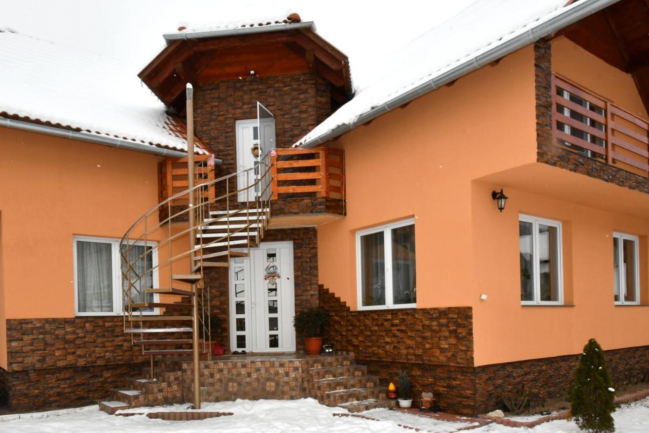 Casa De Oaspeti Cristian 프라이드 외부 사진