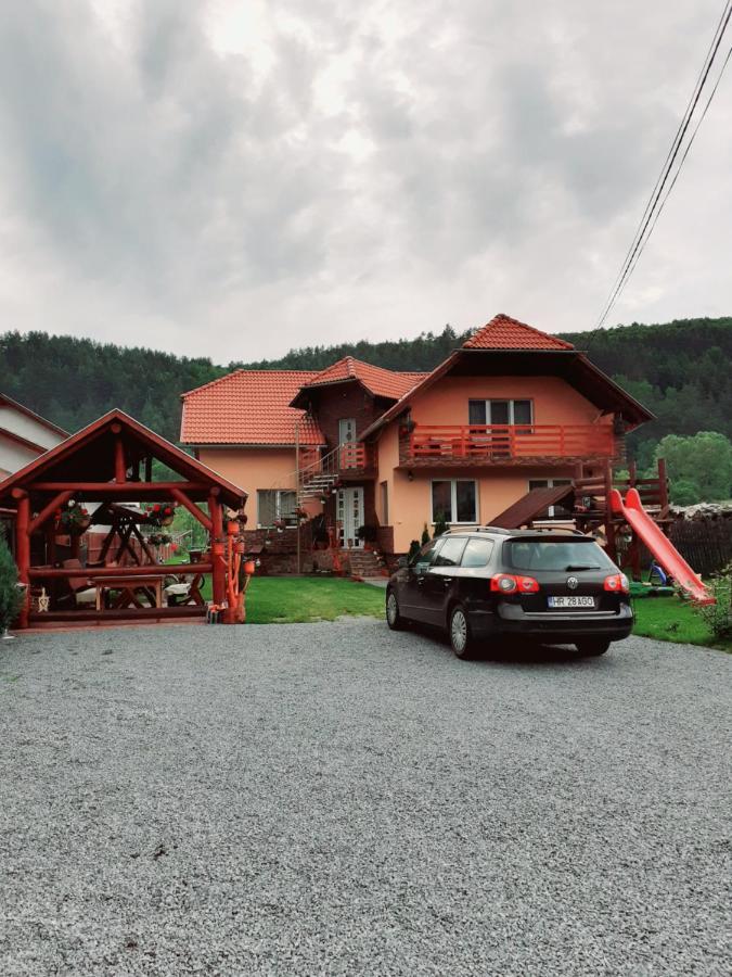 Casa De Oaspeti Cristian 프라이드 객실 사진
