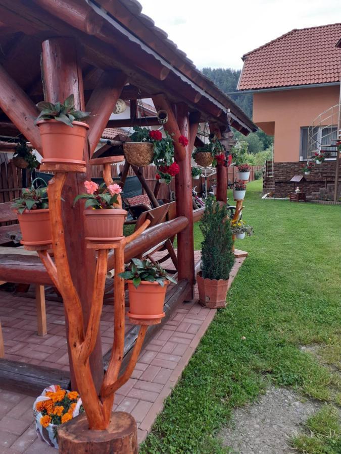 Casa De Oaspeti Cristian 프라이드 외부 사진