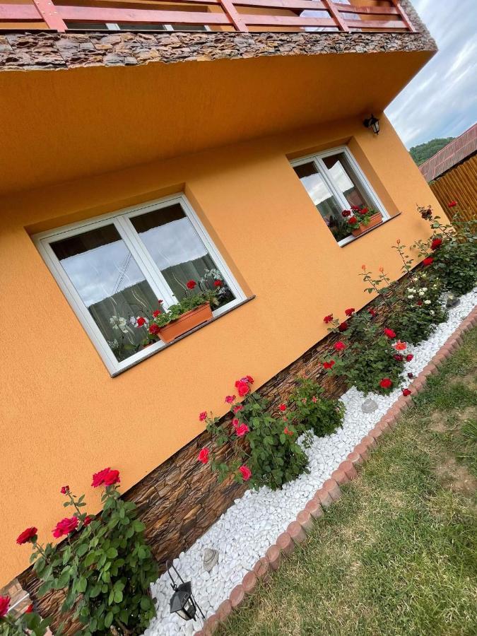 Casa De Oaspeti Cristian 프라이드 외부 사진