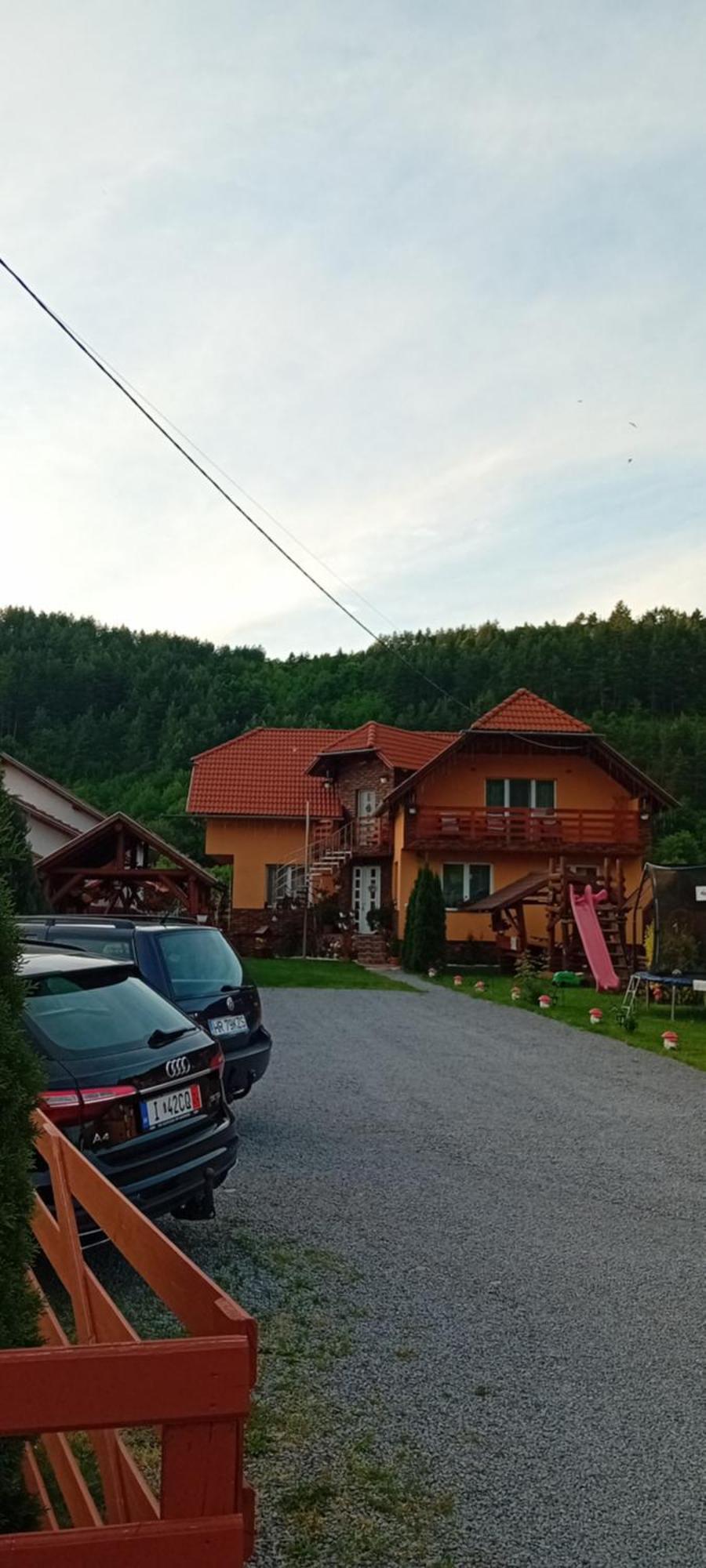 Casa De Oaspeti Cristian 프라이드 외부 사진